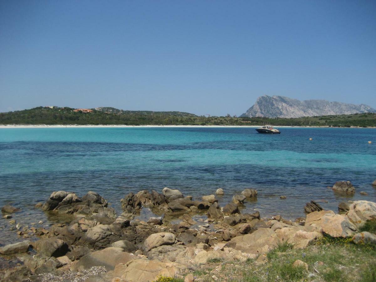 Appartamento Via Alghero San Teodoro  Exterior foto